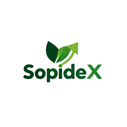 Logo SopideX, client de Punch Up